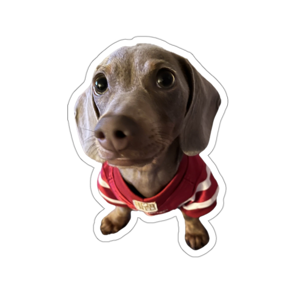 Dear Remi - Stickers