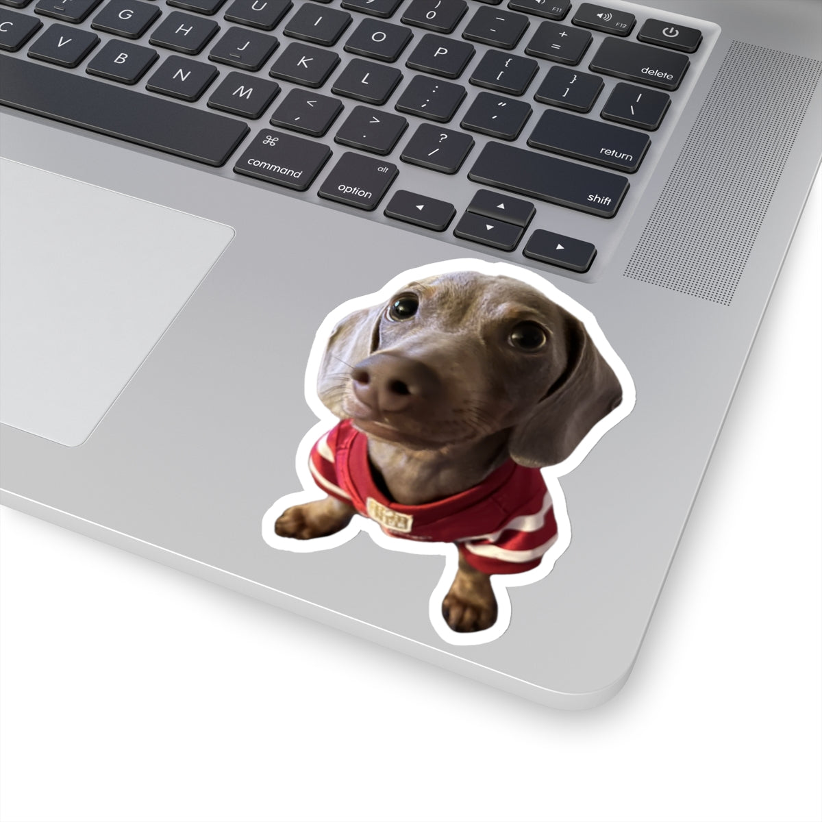 Dear Remi - Stickers