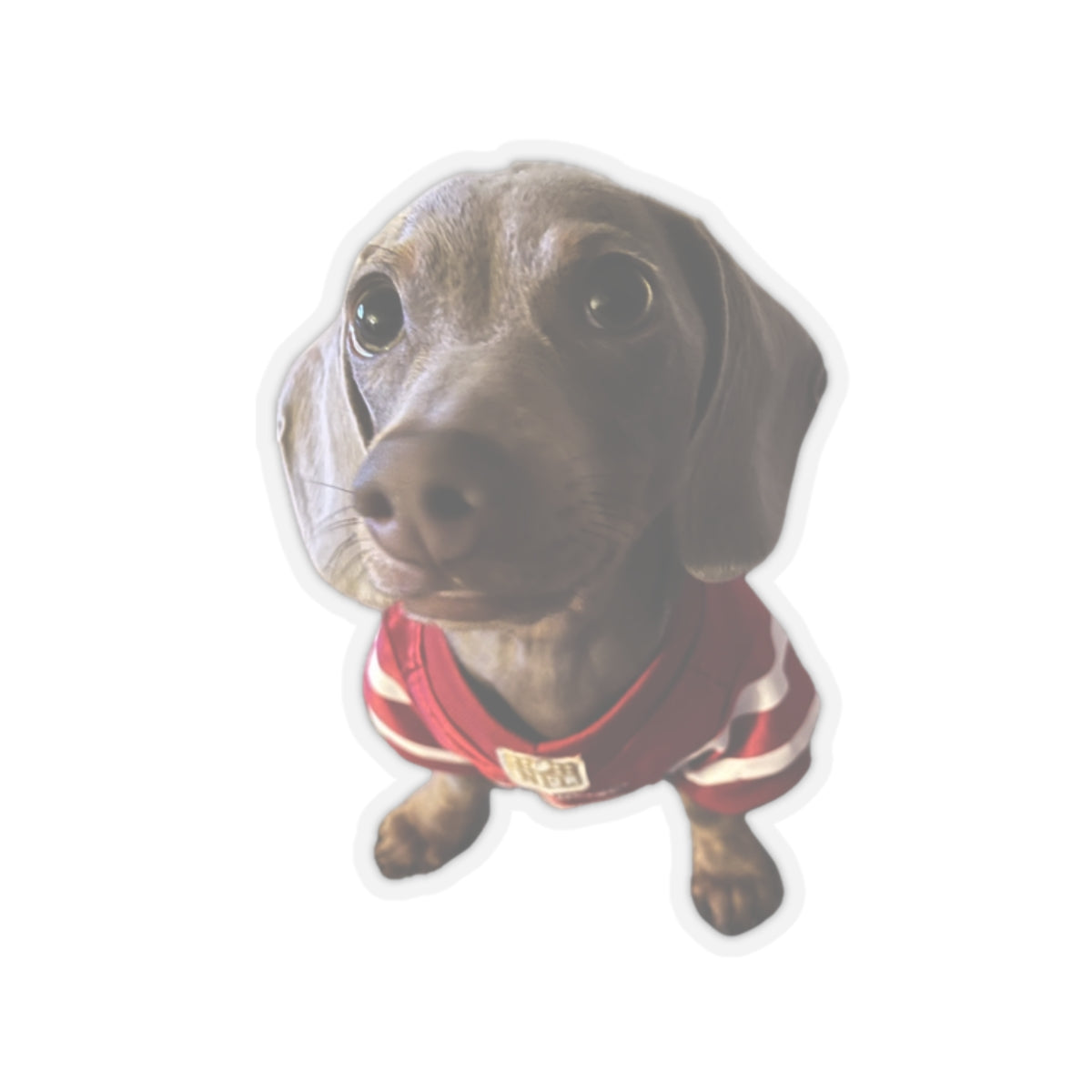 Dear Remi - Stickers