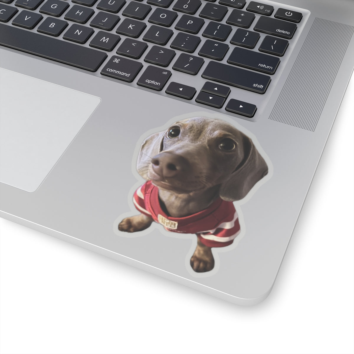 Dear Remi - Stickers