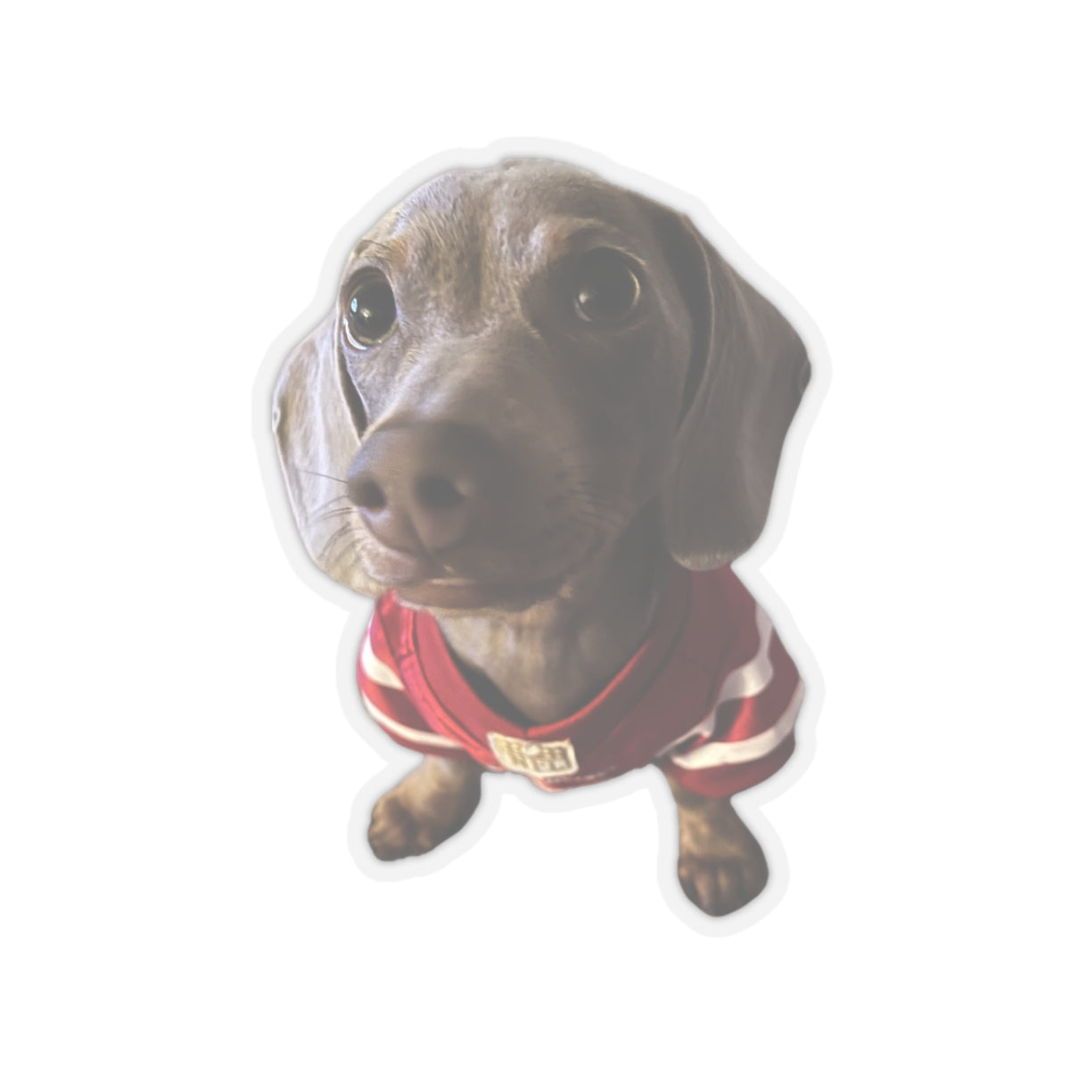 Dear Remi - Stickers