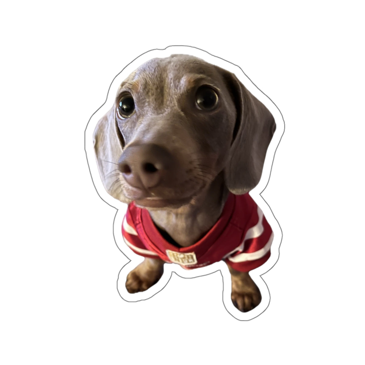 Dear Remi - Stickers